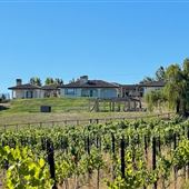 Saccomanno vineyard
