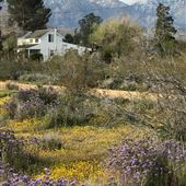 Pearblossom Picture Ranch