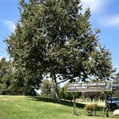Lake Balboa/Anthony C. Beilenson Park