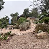 Swan Casa