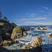 Point Lobos State Natural Reserve (SNR)