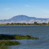 Brannan Island State Recreation Area (SRA)