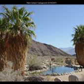 Palm Canyon Campground