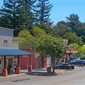 Forestville
