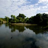 Caswell Memorial State Park (SP)