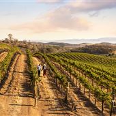 Chalone Vineyard And Winery