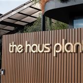 The Haus Plant