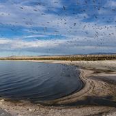 Salton Sea State Recreation Area (SRA)