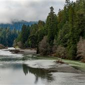 John B. Dewitt Redwoods State National Reserve (SNR)