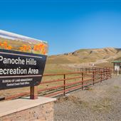 Panoche Hills - BLM