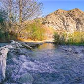Whitewater Preserve