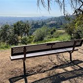 Griffith Park Redwoods - Cedar Grove
