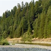 Richardson Grove State Park (SP)