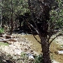 Paradise Ranch