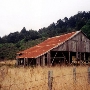 Pomo Canyon (Sonoma Coast State Park)