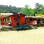 Roaring Camp Railroad