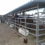 Rancho Olazabal