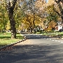 T Street