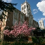 University of the Pacific - UOP / Stockton / Sacramento / San Francisco