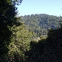 Branscomb Road