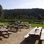 Goldeneye Winery, Vineyard & Landscaped Garderns