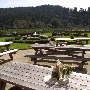 Goldeneye Winery, Vineyard & Landscaped Garderns