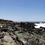 Bean Hollow State Beach (SB)