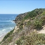 Point Dume Bluffs / Headlands / Big Dume Beach and Pirates Cove Beach @ Point Dume State Preserve - CFC