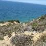 Point Dume Bluffs / Headlands / Big Dume Beach and Pirates Cove Beach @ Point Dume State Preserve - CFC
