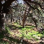 Solstice Canyon - National Park Service (NPS)