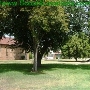 Metropolitan State Hospital - Department of State Hospitals (DSH)