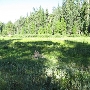 Hodgdon Meadows