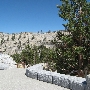 Olmsted Point