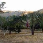 Olympia's Valley Estate