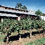 Stevenot Winery