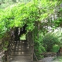 Vichy Springs Resort and Inn