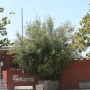 Pasadena Avenue at Hawthorne Street