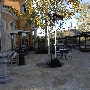 Commons at Calabasas - Caruso Affiliated