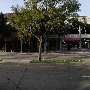 Westwood Village - Westwood Blvd.