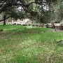Topanga State Park (SP)