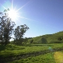 Tresch Dairy