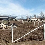 Chico State Paul L. Byrne Memorial University Farm - Agricultural Teaching & Research Center