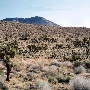 Walker Pass  - Ridgecrest Resource Area - Bureau of Land Management (BLM)