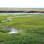 Humboldt Bay National Wildlife Refuge