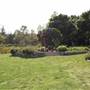 Descanso Gardens