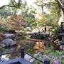 Descanso Gardens