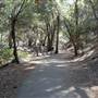 Angeles National Forest