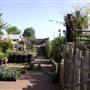 California Nursery Specialties - Cactus Ranch