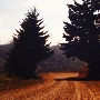 Bair Road - Off HWY 299