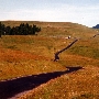 Bear River Ridge Road - Off HWY 101